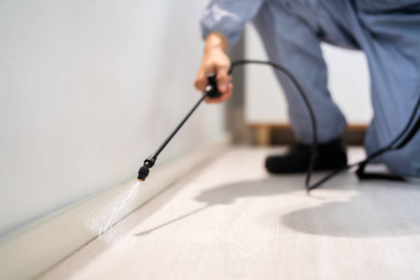 Licensed Mosquito Control service in Gettysburg, SD - Show Me Pest Control