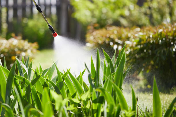 24/7 Emergency Mosquito Control experts in Gettysburg, SD